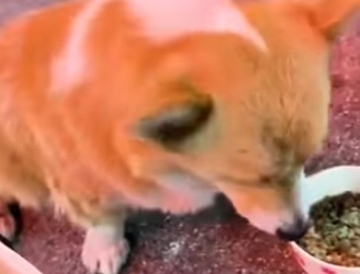 La sanación empieza ahora (Parte 2)