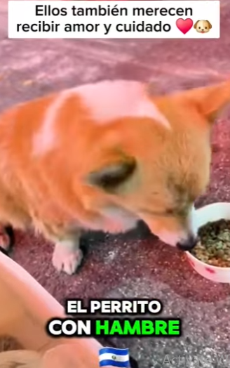 La sanación empieza ahora (Parte 2)