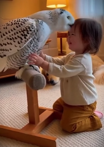 L0512003 El perro corrió al bosque sin razón y encontró ESTO (Parte 2)