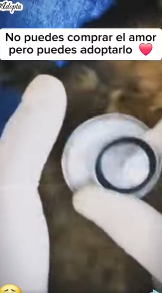 M1207002 Este pequeño bebecito fue abandonado