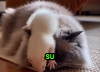 L0512010 Entró con ‘algo’ en la boca y NO creerás lo que hizo después (Parte 2)