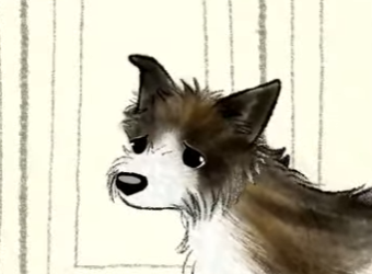 B0901006 He thought grandpa left forever (Part 2)