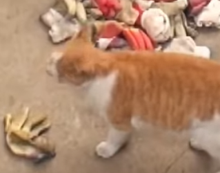 B1201006 Kindest Thief Ever (Part 2)