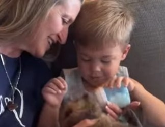 A1301004 Castor de rescate (Parte 2)