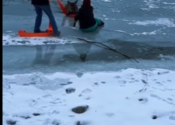 I1201010 Neighbours Rescue Frozen Deer Ice (Part 2)