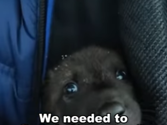 T1201011 End is unbelievable (Part 2)