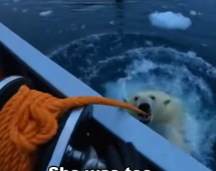 T1201008 Did you expect at end (Part 2)