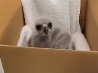 T1201002 Did you expect at end (Part 2)