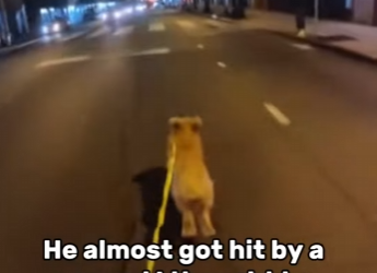 T1201006 What would be your reaction to (Part 2)