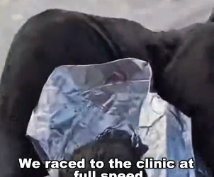 T1201003 What would you do in situation (Part 2)