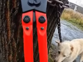 T1201009 Can you believe people can do these things (Part 2)