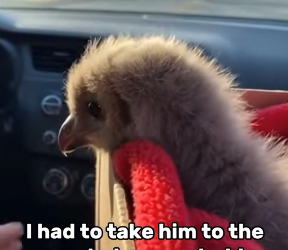 T1201013 couldn believe my eyes (Part 2)