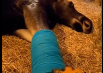 T1201014 Did you expect at end (Part 2)