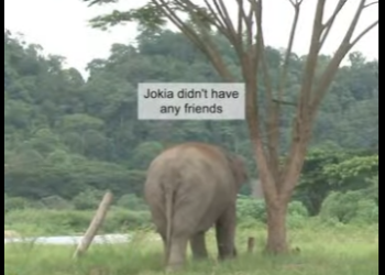 Lonely blind elephant meets baby (Part 2)