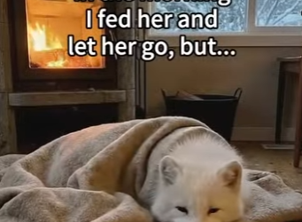 S1201004 coyote almost took her (Part 2)