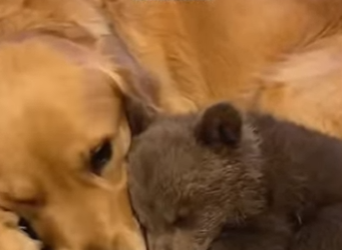 S1201006 reunion years later (Part 2)