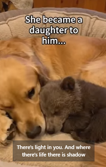 S1201006 reunion years later (Part 2)