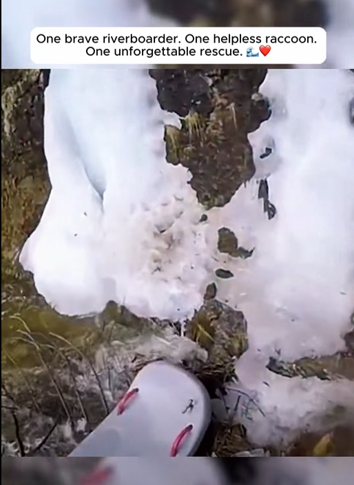 I1201012 One brave riverboarder (Part 2)