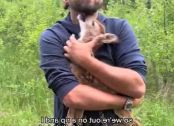 R1401007 Rescata al ciervo (Parte 2)