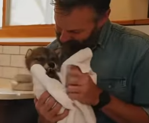 P0501008 found wolf cub had been flooded, then (Part 2)