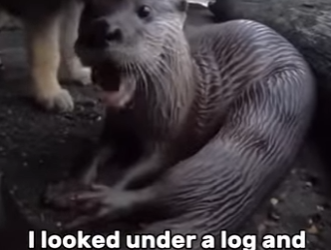 T1401005 Unbelievable ending (Part 2)