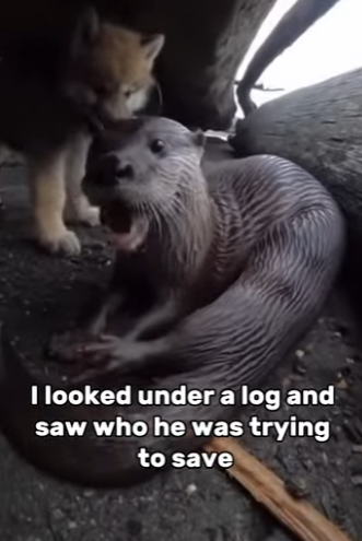 T1401005 Unbelievable ending (Part 2)