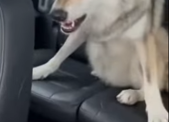 T1401004 What an experience to have (Part 2)