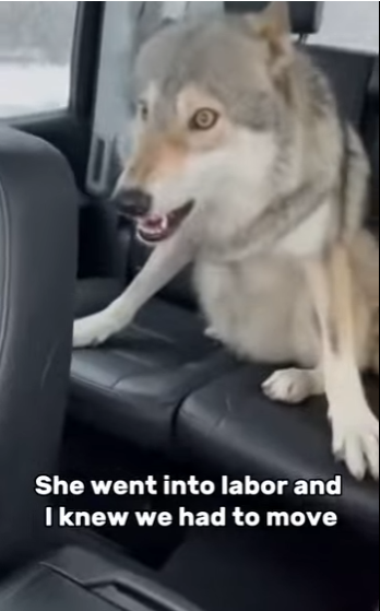 T1401004 What an experience to have (Part 2)