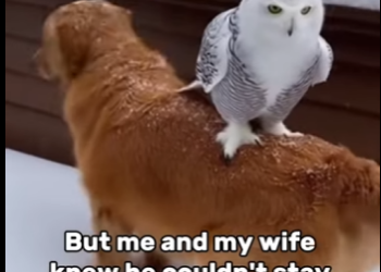 T1401003 End is unbelievable (Part 2)