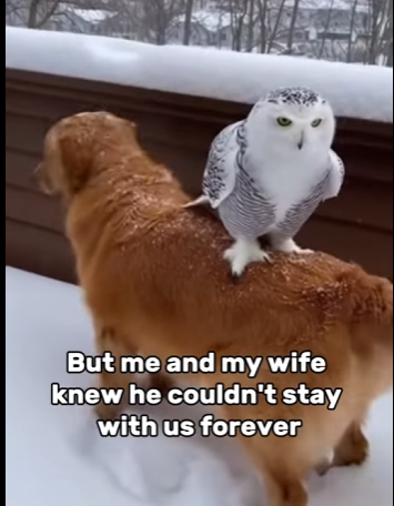 T1401003 End is unbelievable (Part 2)