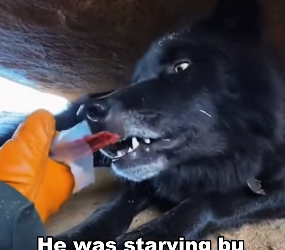 T1401001 How could be true (Part 2)