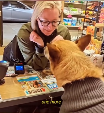 W1401006 Dog Runs Counter Always Demands His Tip (Part 2)