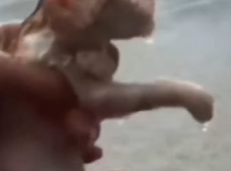 M1401004 Este gatito fue encontrado bajo la intensa lluvia (Parte 2)