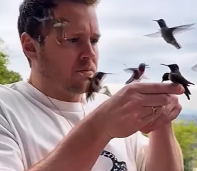 Y1401001 Este pájaro puede recibir una zancadilla de su propio metabolismo (Parte 2)