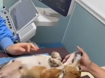 L1401003 She is pearl now! (Part 2)