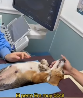 L1401003 She is pearl now! (Part 2)