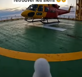 S1401006 En pleine mer, arrache un bébé pingouin un monstre des profonde (Part 2)