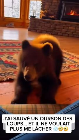 S1401003 AI SAUVÉ UN OURSON DES LOUPS ET IL NE VOULAIT PLUS ME LÂCHER (Part 2)