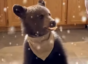 P1401001 becoming friend home petss (Part 2)