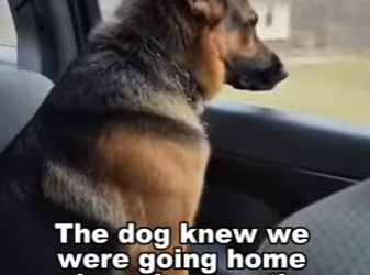 T1501004 Life begins again her (Part 2)