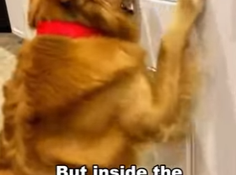 T1501002 is unbelievable experience (Part 2)