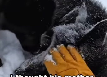 T1501005 One rescue at a time (Part 2)