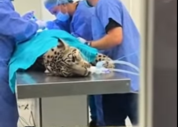 T1501001 What an experience (Part 2)