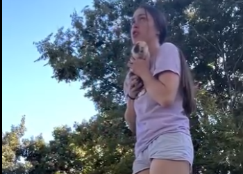 W1501003 Abandoned Guinea Pigs Rescued After Being Dumped In Park (Part 2)