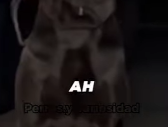 Y1501006 Este demonio de aquí es el Cane Corso, la raza de perro más psicópata (Parte 2)