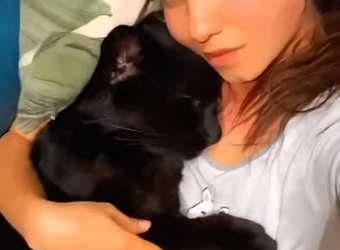 R1501005 Salven la pantera negra (Parte 2)