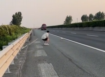 R1501001 Rescatar los lechones (Parte 2)