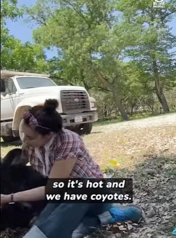 B0101012 Who knew they were smart (Part 2)