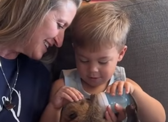 R1601005 Castor de rescate (Parte 2)