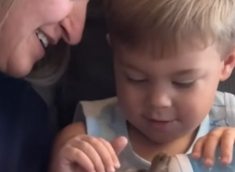 A1601007 Castor de rescate (Parte 2)